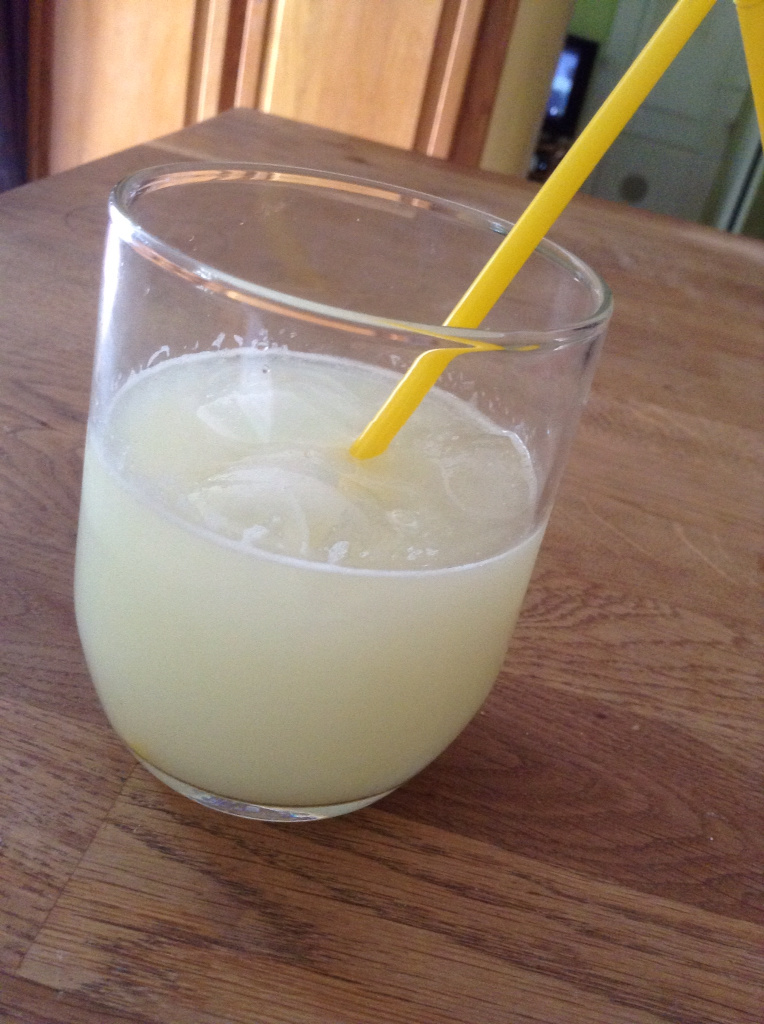  Cook'in or Thermomix Lemonade 